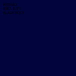 #01053D - Black Rock Color Image