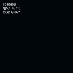 #01060B - Cod Gray Color Image