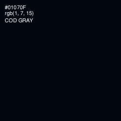 #01070F - Cod Gray Color Image
