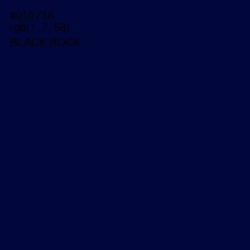 #01073A - Black Rock Color Image