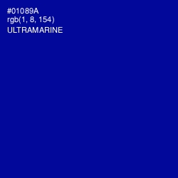 #01089A - Ultramarine Color Image