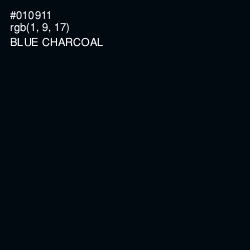 #010911 - Blue Charcoal Color Image