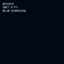 #010915 - Blue Charcoal Color Image
