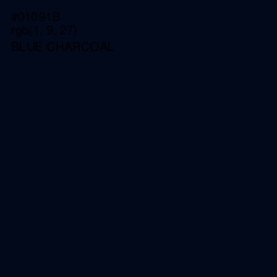 #01091B - Blue Charcoal Color Image