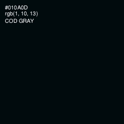 #010A0D - Cod Gray Color Image