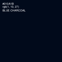 #010A1B - Blue Charcoal Color Image