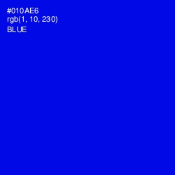 #010AE6 - Blue Color Image