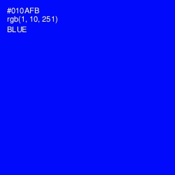 #010AFB - Blue Color Image