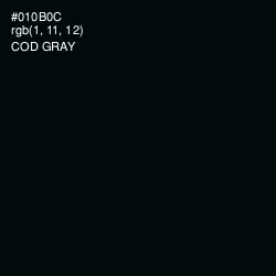 #010B0C - Cod Gray Color Image