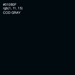 #010B0F - Cod Gray Color Image
