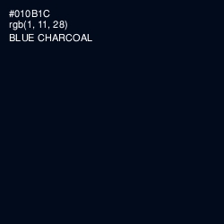 #010B1C - Blue Charcoal Color Image