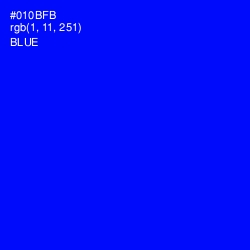 #010BFB - Blue Color Image