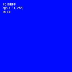 #010BFF - Blue Color Image