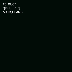 #010C07 - Marshland Color Image