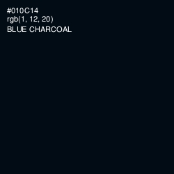 #010C14 - Blue Charcoal Color Image