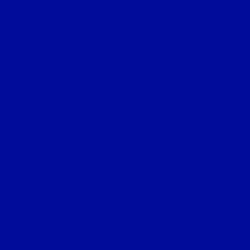 #010C9B - Ultramarine Color Image