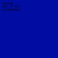 #010CA3 - Ultramarine Color Image