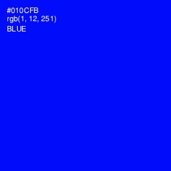 #010CFB - Blue Color Image
