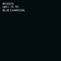 #010D10 - Blue Charcoal Color Image