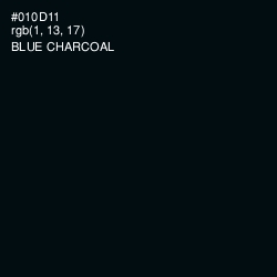 #010D11 - Blue Charcoal Color Image
