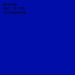 #010DA9 - Ultramarine Color Image