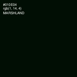 #010E04 - Marshland Color Image