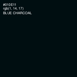 #010E11 - Blue Charcoal Color Image