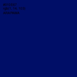 #010E67 - Arapawa Color Image