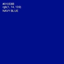 #010E8B - Navy Blue Color Image