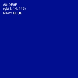 #010E8F - Navy Blue Color Image