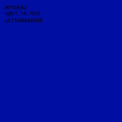 #010EA2 - Ultramarine Color Image