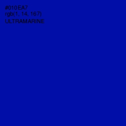 #010EA7 - Ultramarine Color Image