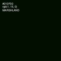 #010F00 - Marshland Color Image