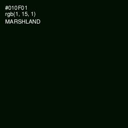 #010F01 - Marshland Color Image