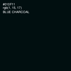 #010F11 - Blue Charcoal Color Image