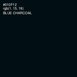 #010F12 - Blue Charcoal Color Image