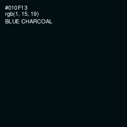 #010F13 - Blue Charcoal Color Image