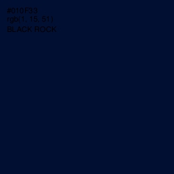 #010F33 - Black Rock Color Image