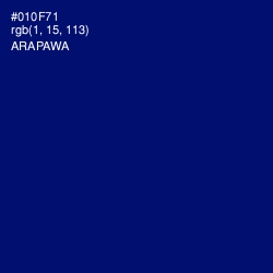 #010F71 - Arapawa Color Image