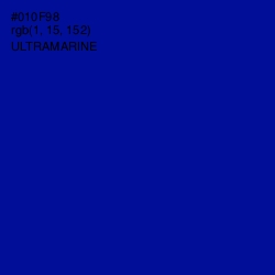 #010F98 - Ultramarine Color Image