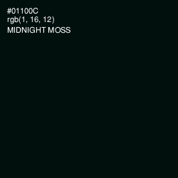 #01100C - Midnight Moss Color Image