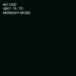 #01100D - Midnight Moss Color Image