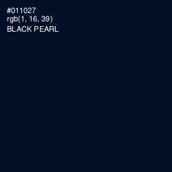 #011027 - Black Pearl Color Image