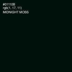 #01110B - Midnight Moss Color Image