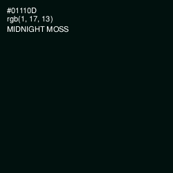 #01110D - Midnight Moss Color Image