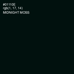 #01110E - Midnight Moss Color Image