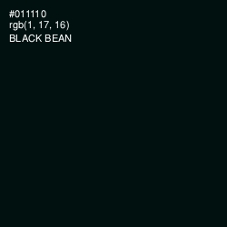 #011110 - Black Bean Color Image