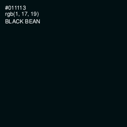 #011113 - Black Bean Color Image