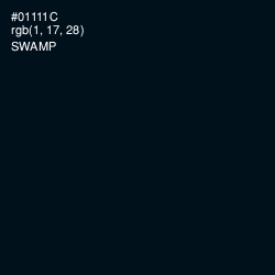 #01111C - Swamp Color Image