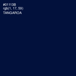 #01113B - Tangaroa Color Image